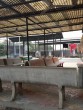 Lal Kothi Moksha Dham Lal Kothi Moksha Dham