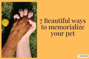 7 Beautiful Ways to Memorialize Your Pet