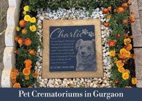 Pet crematorium in gurgaon